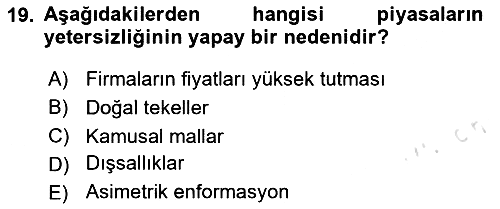 Kamu Ekonomisi 1 2024-2025 Dönem Sonu Sınavı - 19. soru