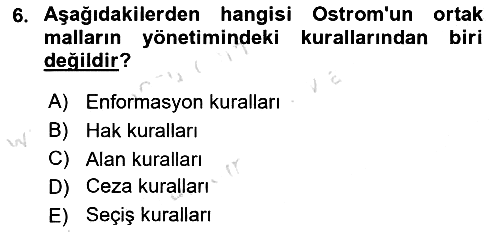 Kamu Ekonomisi 1 2025-2026 Dönem Sonu Sınavı - 6. soru