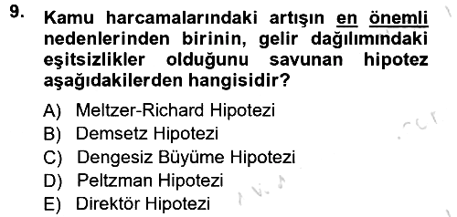 Kamu Ekonomisi 1 2013-2014 Tek Ders Sınavı - 9. soru