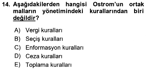 Kamu Ekonomisi 1 2020-2021 Yaz Okulu Sınavı - 14. soru