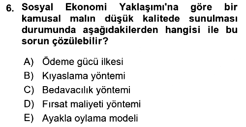 Kamu Ekonomisi 1 2021-2022 Yaz Okulu Sınavı - 6. soru