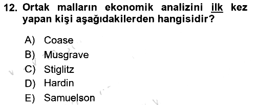 Kamu Ekonomisi 1 2023-2024 Yaz Okulu Sınavı - 12. soru