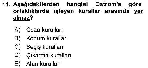 Kamu Ekonomisi 1 2024-2025 Yaz Okulu Sınavı - 11. soru