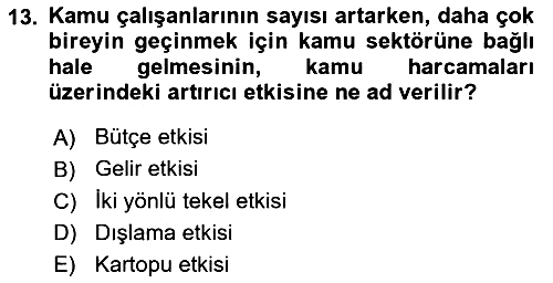 Kamu Ekonomisi 2 2023-2024 Ara Sınav - 13. soru