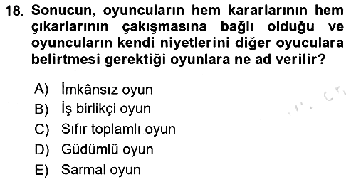 Kamu Ekonomisi 2 2023-2024 Dönem Sonu Sınavı - 18. soru