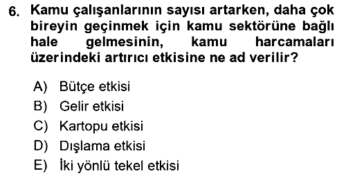 Kamu Ekonomisi 2 2021-2022 Yaz Okulu Sınavı - 6. soru