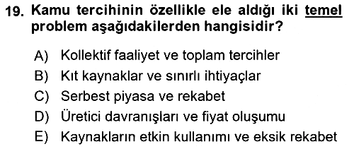 Kamu Ekonomisi 2 2023-2024 Yaz Okulu Sınavı - 19. soru