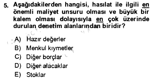 Muhasebe Denetimi 2023-2024 Yaz Okulu Sınavı - 5. soru