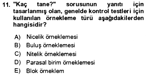Muhasebe Denetimi 2023-2024 Yaz Okulu Sınavı - 11. soru