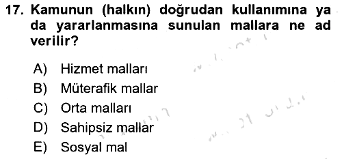 Temel İdare Hukuku 2024-2025 Yaz Okulu Sınavı - 17. soru