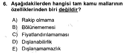 Uluslararası Kamu Maliyesi 2018-2019 3 Ders Sınavı - 6. soru