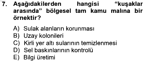 Uluslararası Kamu Maliyesi 2012-2013 Ara Sınav - 7. soru