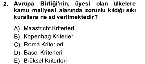 Uluslararası Kamu Maliyesi 2013-2014 Ara Sınav - 2. soru