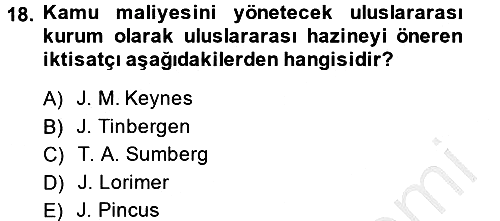 Uluslararası Kamu Maliyesi 2013-2014 Ara Sınav - 18. soru