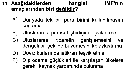 Uluslararası Kamu Maliyesi 2015-2016 Ara Sınav - 11. soru