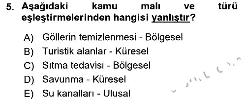 Uluslararası Kamu Maliyesi 2016-2017 Ara Sınav - 5. soru