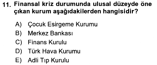 Uluslararası Kamu Maliyesi 2017-2018 Ara Sınav - 11. soru
