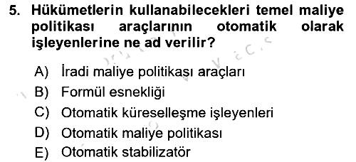 Uluslararası Kamu Maliyesi 2021-2022 Ara Sınav - 5. soru