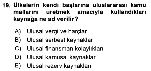 Uluslararası Kamu Maliyesi 2021-2022 Ara Sınav - 19. soru