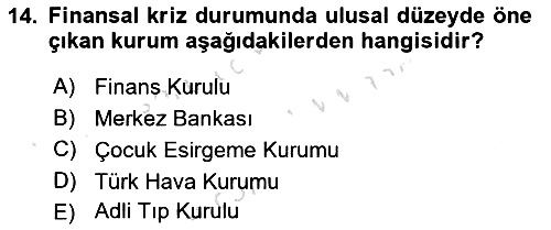 Uluslararası Kamu Maliyesi 2023-2024 Ara Sınav - 14. soru