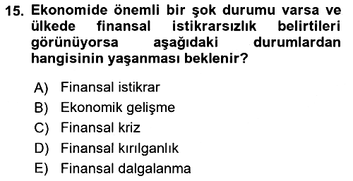 Uluslararası Kamu Maliyesi 2024-2025 Ara Sınav - 15. soru