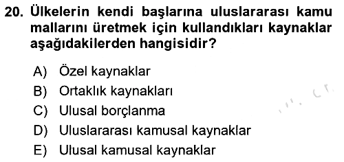 Uluslararası Kamu Maliyesi 2024-2025 Ara Sınav - 20. soru