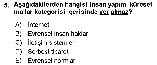 Uluslararası Kamu Maliyesi 2018-2019 Yaz Okulu Sınavı - 5. soru