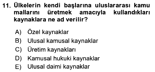 Uluslararası Kamu Maliyesi 2018-2019 Yaz Okulu Sınavı - 11. soru
