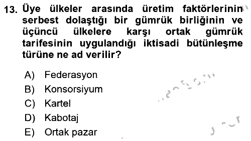 Uluslararası Kamu Maliyesi 2018-2019 Yaz Okulu Sınavı - 13. soru