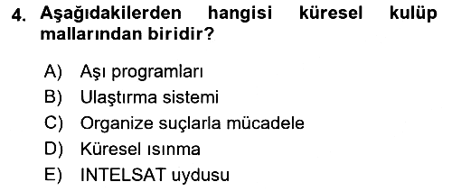 Uluslararası Kamu Maliyesi 2021-2022 Yaz Okulu Sınavı - 4. soru
