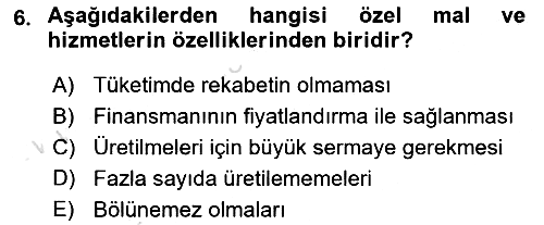 Uluslararası Kamu Maliyesi 2021-2022 Yaz Okulu Sınavı - 6. soru