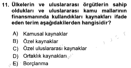 Uluslararası Kamu Maliyesi 2022-2023 Yaz Okulu Sınavı - 11. soru