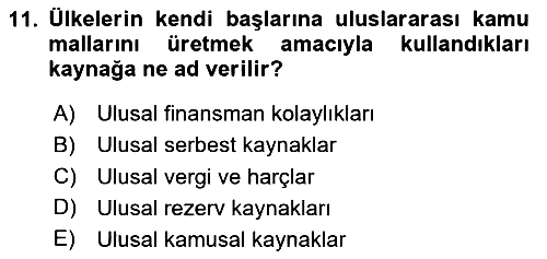 Uluslararası Kamu Maliyesi 2023-2024 Yaz Okulu Sınavı - 11. soru