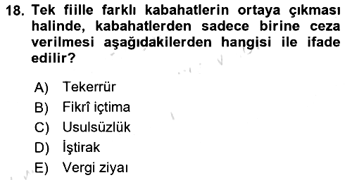 Vergi Ceza Hukuku 2022-2023 Ara Sınav - 18. soru