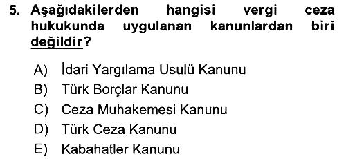 Vergi Ceza Hukuku 2024-2025 Ara Sınav - 5. soru