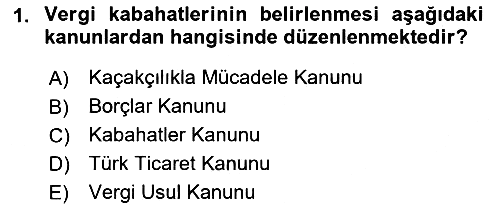 Vergi Ceza Hukuku 2021-2022 Yaz Okulu Sınavı - 1. soru