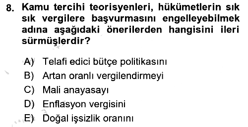 Vergi Teorisi 2024-2025 Ara Sınav - 8. soru