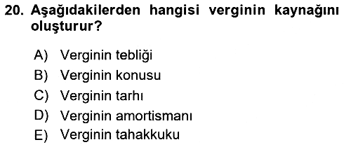 Vergi Teorisi 2024-2025 Ara Sınav - 20. soru