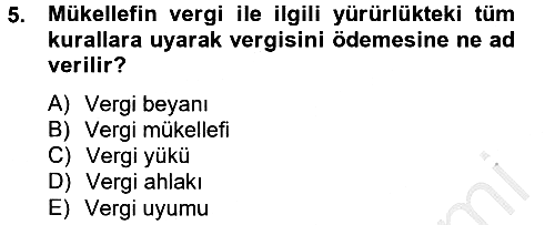 Vergi Teorisi 2012-2013 Dönem Sonu Sınavı - 5. soru