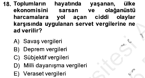 Vergi Teorisi 2014-2015 Dönem Sonu Sınavı - 18. soru