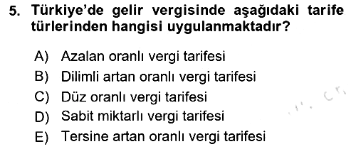 Vergi Teorisi 2024-2025 Dönem Sonu Sınavı - 5. soru
