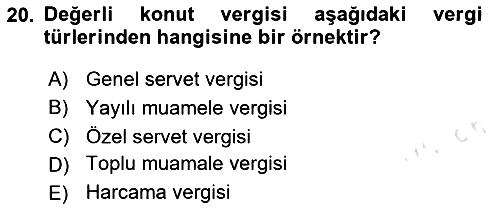 Vergi Teorisi 2024-2025 Dönem Sonu Sınavı - 20. soru