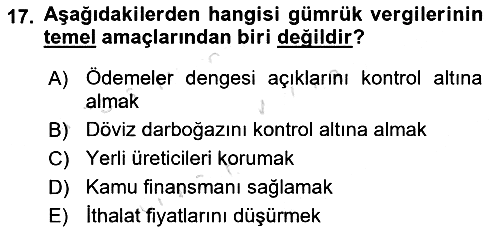 Vergi Teorisi 2024-2025 Yaz Okulu Sınavı - 17. soru