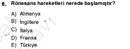 Medya Siyaset Kültür 2013-2014 Ara Sınav - 8. soru