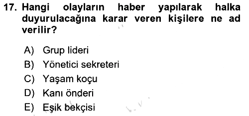 Medya ve İletişim 2019-2020 Ara Sınav - 17. soru