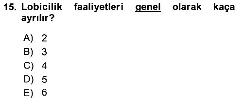 Siyasal İletişim 2022-2023 Ara Sınav - 15. soru