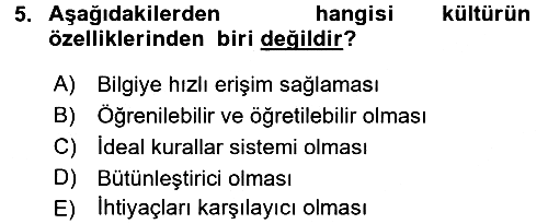 Uluslararası İletişim 2016-2017 3 Ders Sınavı - 5. soru