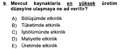 Ekonomik Analiz 2018-2019 Yaz Okulu Sınavı - 9. soru