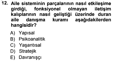Anne Baba Eğitimi 2012-2013 Ara Sınav - 12. soru