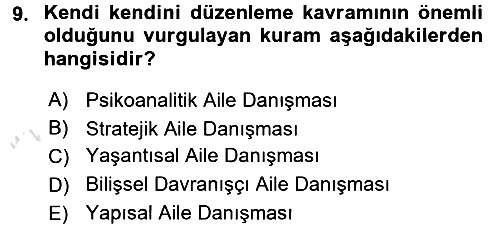 Anne Baba Eğitimi 2016-2017 Ara Sınav - 9. soru